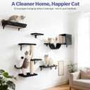 Cat Wall Shelves, Stable & Safe 6 in 1 Cat Furniture Set Black, for Cats to Climb, Hide, Lounge, and Scratch