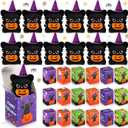 Civaner 24 Sets Halloween Stuffed Animal Mini Plush Toys Bulk with Gift Boxes Small Pumpkin Witch Hat and Keychains for Halloween Party Favors Decorations Classroom Exchange Gifts Doll(Black Cat)