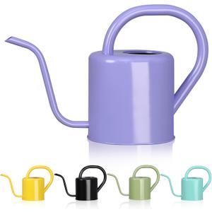 Watering Can, Stainless Steel Watering Can for Indoor & Outdoor Plants, 1L/35oz Long Spout Water Can with Handle, Rust-Proof Plant Watering Pot for House Plants, Garden Flowers