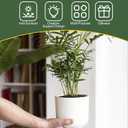 Monstera Plant Support, Durable Iron Plant Stem Supports, Plant Stabilizer & Holders for Indoor Plants, 8 Pack
