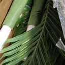 Keeplush 6ft Tall Triple Golden Cane Palm Artificial Tree 72inch Large Tropical Palm Tree UV Resistant Fake Plant in Pot for Indoor Outdoor Big House Living Room Outside Patio Office Home Decor 2Pack