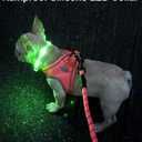 3 x Joytale Light Up Dog Collar, Rechargeable LED Glow Collar for Night Walking