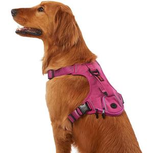 KONG Ultra Durable Waste Bag Harness (Large, Pink)
