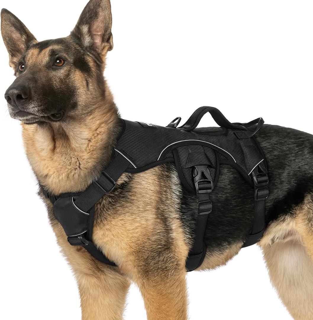 rabbitgoo Escape Proof Dog Harness, Soft Padded Full Body Pet Harness, Reflective Adjustable No Pull Vest with Lift Handle and Leash Clip for Large Dogs Walking Hiking Training, XL (X-Large (Pack of 1), Black)