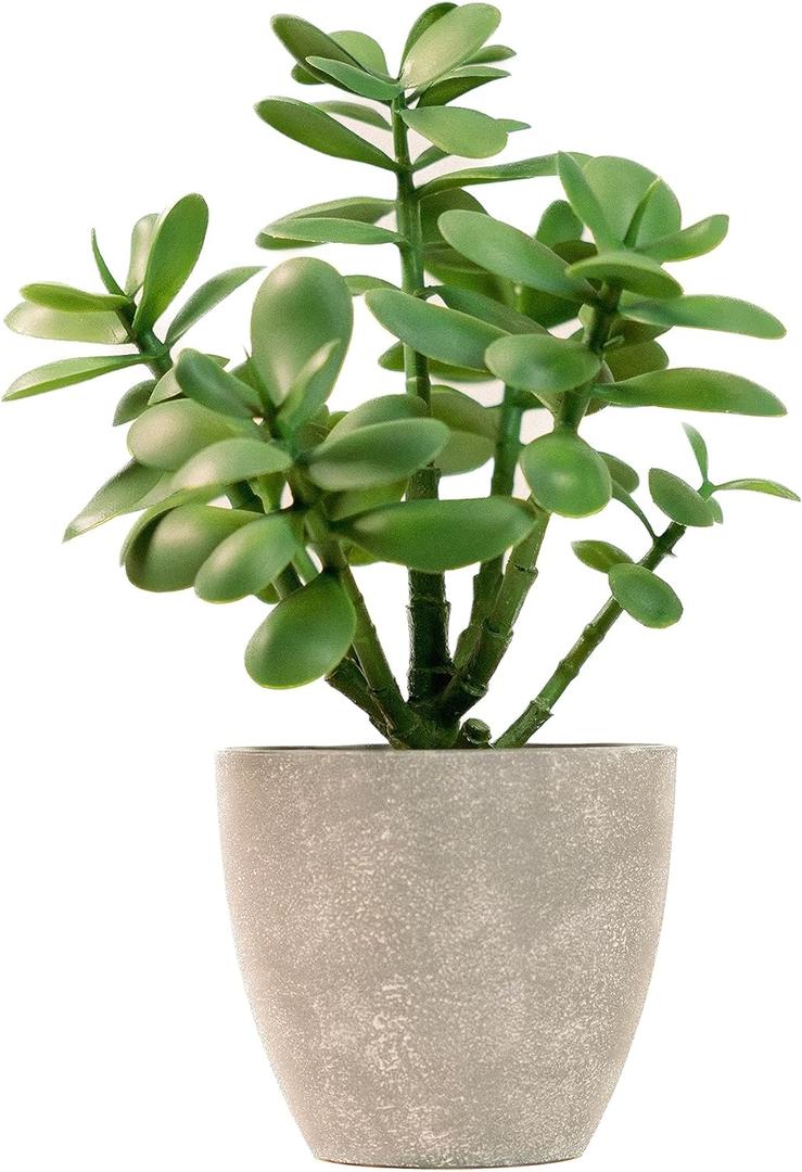365 Blooming Decor Artificial Potted Jade Plant 12 inch, Luxury Faux Succulent Plant for Home Decor, Office Decor, Money Tree, Faux Plants Indoor Crassula ovata (Green)