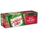 10 x Canada Dry Cherry Gingerale Fruit Splash 12oz, Pack of 12