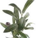 Artificial Olive Branch Stems 5pcs 28 Inch