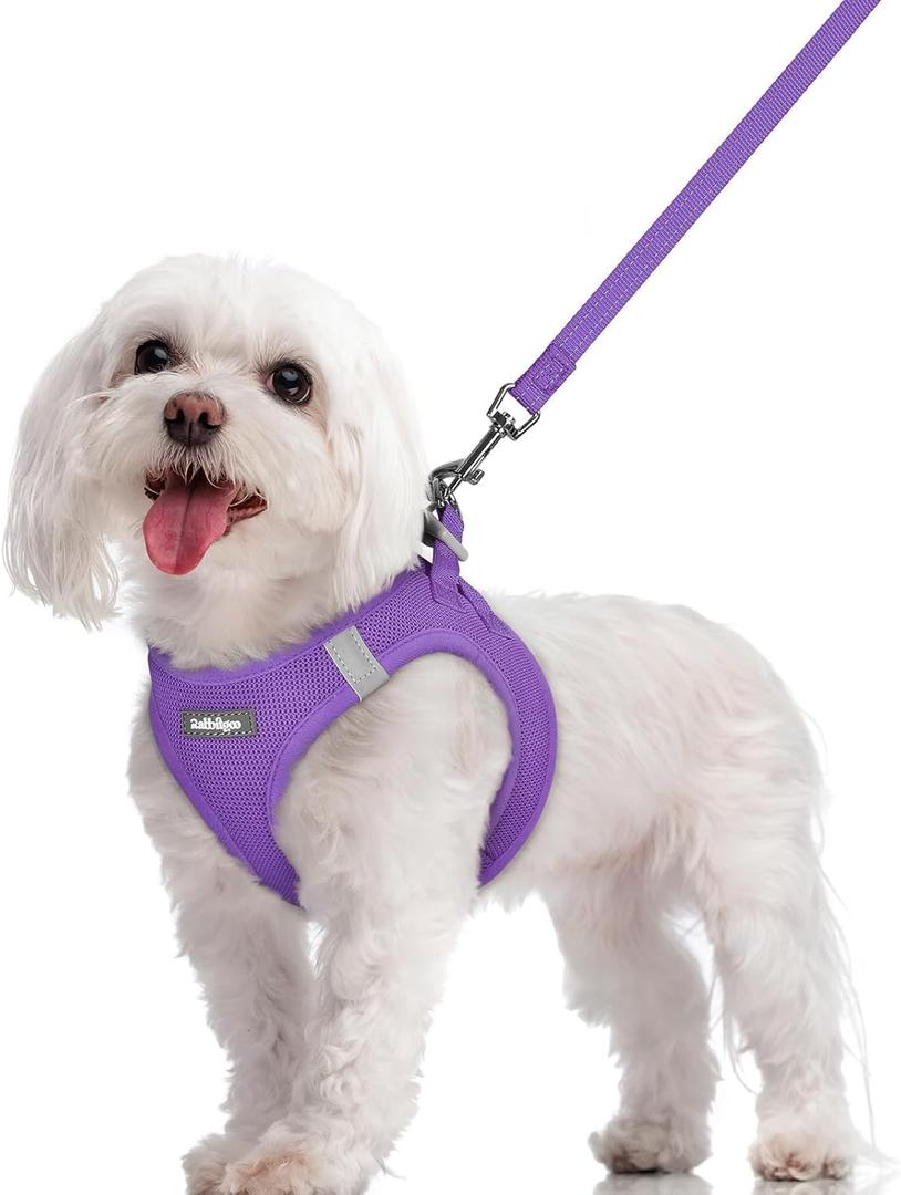 rabbitgoo Dog Harness Small Sized and Leash Set, Step in Soft Light Puppy Vest, Breathable Mesh Pet Harness, Reflective for Safe Outdoor Walking, Purple,M (Chest: 16 - 18.5")
