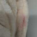 BEDELITE Fleece Throw Blanket for Couch - 300GSM Soft & Warm Fluffy Beige Blanket, Decorative and Giftable Striped Blankets for Women, Men, 50"x70"