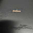 OLEEK Wall Coat Rack with Shelf - Wall Shelf with Hooks - entryway Hooks - Modern Coat Rack - Wooden Mount for Home Decor - Jacket Hanger - Coat Hanger Wall Mount (Black)