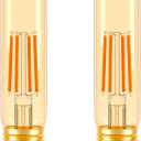 ToBeGreat T30 Light Bulbs 4 Watt Equivalent 40W Bulb E26 Tubular Bulbs T10 Amber LED Bulb Warm White 2200K Chandelier Desk Lamp Kitchen Bedbroom Bathroom,Dimmable,2 Pack (5 In (2pack))