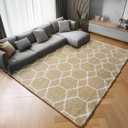 ONASAR Rugs for Living Room Bedroom, 5x8 Washable Fluffy Beige and White Area Rug, Geometric Boho Soft Plush Shaggy Fuzzy Floor Carpet for Nursery Kids Girls Boys Teen Dorm Home Decor Aesthetic