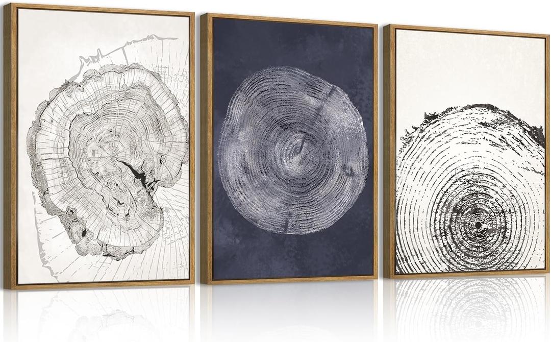 IARTTOP Framed Tree Ring Wall Art Modern Neutral Wood Stump Wall Decor Abstract Tree Spiral Wall Decor For Living Room Bedroom Office12 x16 Inch Set Of 3