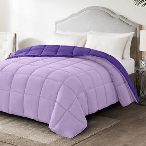 Homelike Moment Comforters Queen Size - Purple Duvet Insert Down Alternative Bed Queen Comforter, Lightweight Bedding Comforter Full Size Quilted Soft All Season Reversible Plum/Light Purple