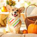 48 Pcs Thanksgiving Dog Bandanas Bulk Polka Dot Stripe Bandanas for Dogs Triangle Kerchief Bibs Scarf Set for Pet Fall Autumn Costume Photo Props Accessories Pet Shops Groomers, 4 Styles