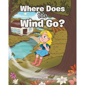 Where Does the Wind Go?