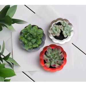 Ceramic Miniature Pumpkin Succulent Pots,Cute Halloween Decorations,Mini Pumpkin Decor Planters,Thanksgiving Decoration,Set of 3 Indoor/Outdoor Flower Pot,Fall Planter