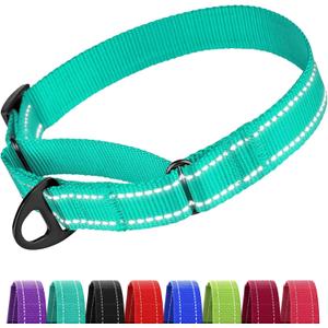 CollarDirect Martingale Dog Collar Heavy Duty Nylon Slip Collars for Dogs [Nylon, Reflective, Mint Green, M, 13"-18"]