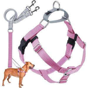 2 Hounds Design Freedom No Pull Dog Harness, Adjustable Harness and Leash Set, Easy Walking & Comfortable Control, Fits Small, Medium & Large Dogs, Solid Colors, Made in USA, 1" MD, Rose