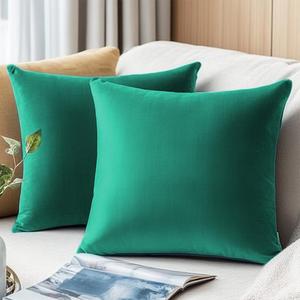 QUORGVES Pillow Covers 16x16 Inch Pack of 2 Velvet Throw Pillow Covers Sofa Decorative for Living Room Bed Couch Bedroom Soft Decor Accent Pillow Covers Cases 16 x 16 Set of 2