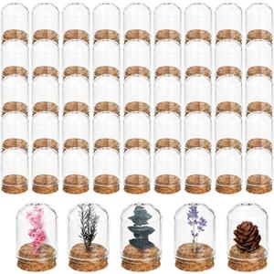 50 Pack Cloche Bell Jar, Mini Glass Jars with Cork Lids, 8ml Glass Dome Cloche with Base, Decorative Display Dome for Specimen, Flower Storage, Arts Dispaly, Party Favor