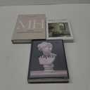 Decorative Coffee Table Books for Home Dcor Accents Bookshelf Decor with Real Blank Pages and Removable Covers Set of 3 Mid Century Modern Fake Books for Decoration Room Decor Aesthetic