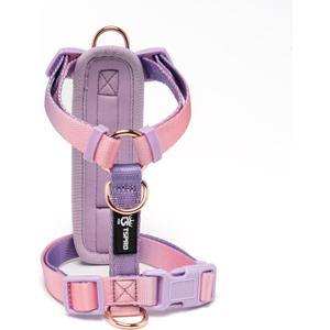 TSPRO Lightweight Dog Vest Harness Adjustable Harness Breathable Durable Quick Release Dog Harness for Medium Dog Walking (Pink-Purple Gradient, Size 2)