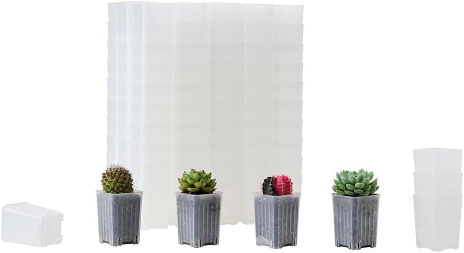 120 Pack 2.40 Inch Small Clear Plastic Square Nursery and Seedling Pot, Deep Transplant Seed Starter Planter with Drain Hole for Germination, Herb, Succulent