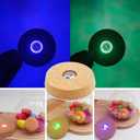 Round Glass Jar Storage Container, Plant Terrarium Display Glass, Moss Ball Bud Vases Jars, Easter Candy Jar Kitchen Canisters with Lid, for DIY Party Mason Jars Crafts Christmas Decoration (L)