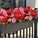 Artificial Geraniums Fake Flowers for Outdoors Decoration, 6 Bundles Silk Geraniums Flower UV Resistant Look Real Faux Plants for Front Door Garden Porch Planter Patio Balcony Yard Indoor Home, Mix