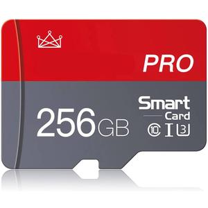 Micro Memory Card 256GB Micro SD Memory Cards 256GB with Adapter Class 10 High Speed Mini SD Card for Smartphones/ Camera/ Tablet Pack of 2
