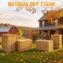 Gerrii 4 Pcs 22 x 18 x 16 in Fall Decorative Hay Straw Bales for Halloween