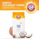 2 x Arm & Hammer Dog Grooming Wipes, Deodorizing Dog Cleaning Wipes with Coconut Water, Gentle for Dogs and Puppies, Paraben and Sulfate Free Formula, Light Coconut Scent, 100 Count