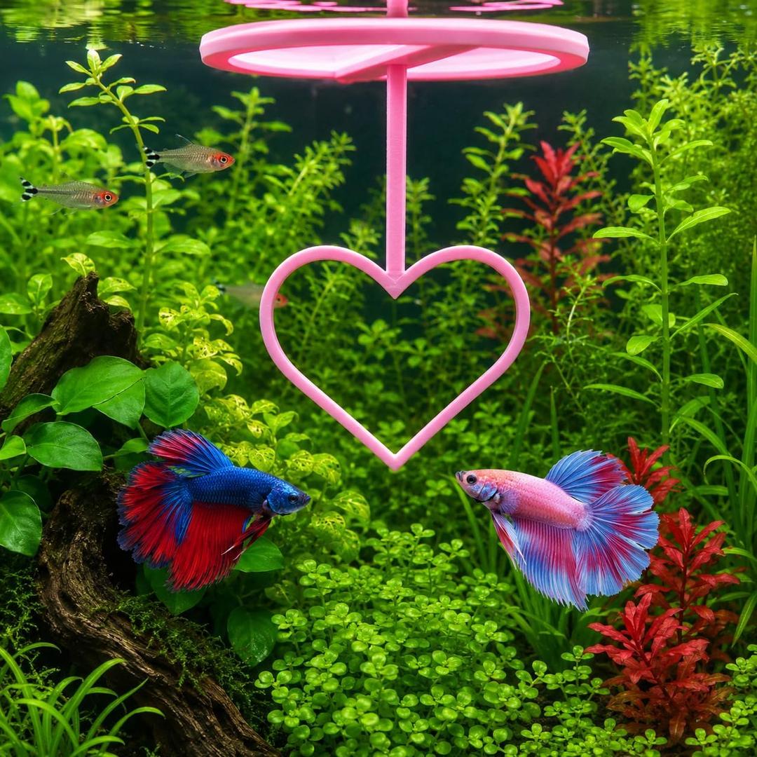 Floating Heart Betta Training Ring, Heart Active Betta Training Floating Ring, Floating Feeder, Betta Loops for Aquarium Decor, Pink, 3.8in x 3.7in (Pink, Single)