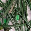 Garden Netting Kit, 10 X 50FT Garden Netting Pest Barrier with 10 Sets Garden Hoops and 20pcs Clips, Insect Netting Row Cover for Raised Beds Vegetable Fruits Flowers Protection