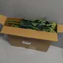 Tigeen 200 Pcs Artificial Eucalyptus Stems Tall 11.8 Inch Tall Faux Eucalyptus Branches Fake Greenery Plants Stems for Vase Home Party Wedding Decorations