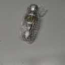 BESTTEN Keyed Same Exterior Door Knob and Single Cylinder Deadbolt Combo Set, Keyed Alike Entry Door Knobs with Lock and Keys for Entrance and Front Door, Satin Nickel