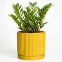 Ceramic Pots for Plants, 10 Inch Plant Pots with Tray, Yellow