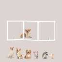 Clear Acrylic Dog Gate， 24" W×31" H Freestanding Foldable Dog Gate for Home ，Transparent Wooden Invisible Aesthetics Puppy Gate -Retractable 3 Panels Doggy gate for Puppies, Cat, Rabbit