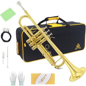 Trumpet Instrument,Band & Orchestra Musical Instruments for Beginners,With trumpets case,Mouthpiece,Cloth and Gloves (Golden)