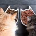 Clear Pet Bowl Mat, USA Made, Safe, Waterproof, 14 x 21 Inch, 2mm Thick Smooth Vinyl, Cat & Dog Cage Floor Mat