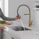 Delta Essa Pro Style Commercial Kitchen Faucet with Pull Down Sprayer, Brushed Gold Single Hole Kitchen Sink Faucet, Single Handle, Champagne Bronze 9613-CZ-DST