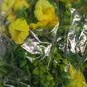 Artificial Flowers for Outdoors Fake Flowers Plants for Spring Summer Decor, 12 Bundles Silk Morning Glory with Eucalyptus Look Real UV Resistant Yellow Faux Flowers for Outside Planters Yard Patio