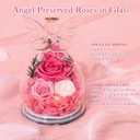 Gifts for Women Preserved Rose Forever Flower in Glass Angel Figurines Fresh Flowers for Delivery Prime Mothers Day Birthday Gifts for Mom Real Pink Roses for Grandma Sister Wife Her from Daughter