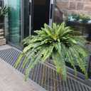 Artificial Ferns for Outdoors, 68" Fake Fern Artificial Plants Large, UV Resistant Faux Boston Fern Suitable for Porch Planters Home Indoors Entrance Patio Garden Porch (1 Stem)
