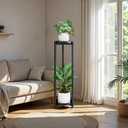 Plant Stand Indoor Outdoor Corner Tall 2 Tier Metal Tiered Single Small Plant Stands Sturdy Shelf for Living Room Balcony Garden,Black