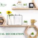 Der Rose Set of 6 Succulents Plants Artificial in Pots Small Fake Plants for Bedroom Aesthetic Living Room Shelf Bathroom Decor Office Desk Accessories