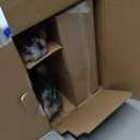 Shark | Pet Cordless Vacuum Cleaner | LED Headlights | Removable Handheld Vacuum for Pet Hair | Crevice Tool & Pet Multi-Tool Included | 40min Runtime | For Carpet & Hard Floors | Grey | IX141