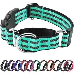 Hikiko Martingale Dog Collars Reflective Nylon Dog Collar with Quick Release Buckle Adjustable Training No Slip Dog Collar (Medium, Turquoise)
