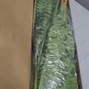 FOREST PRINCE 35" Ferns Artificial Bush Plants Large, 2 Artificial Boston Ferns with 39 Fronds for Outdoors Home Decor